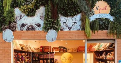 It pet shop: uma casa onde todos são bem-vindos